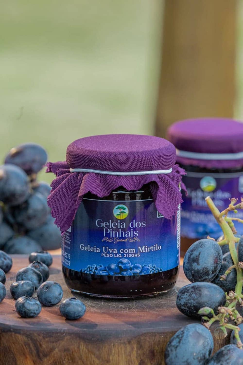 Geleia Uva com Mirtilo